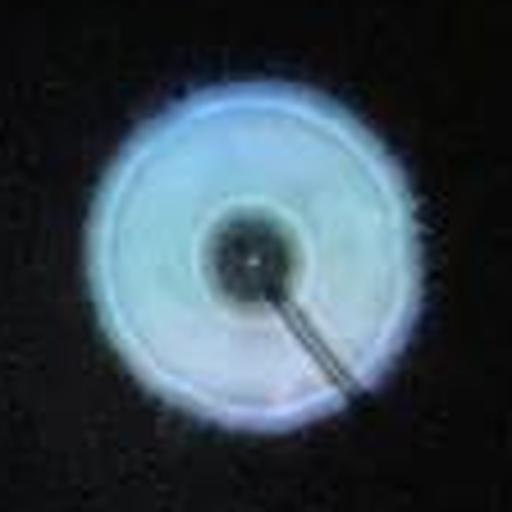 Image 8