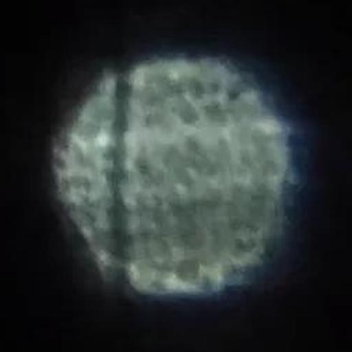Image 9