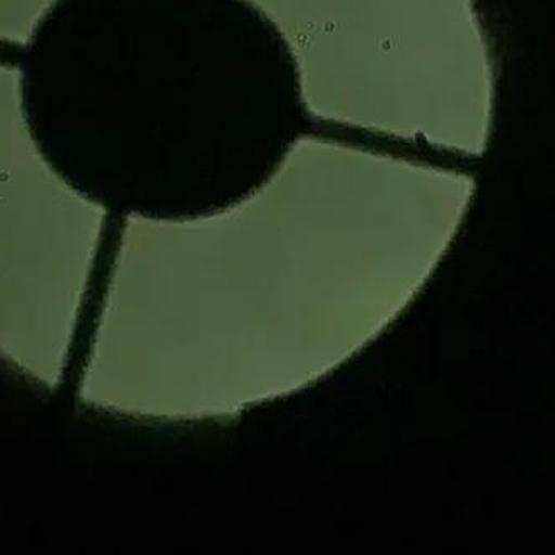 Image 15