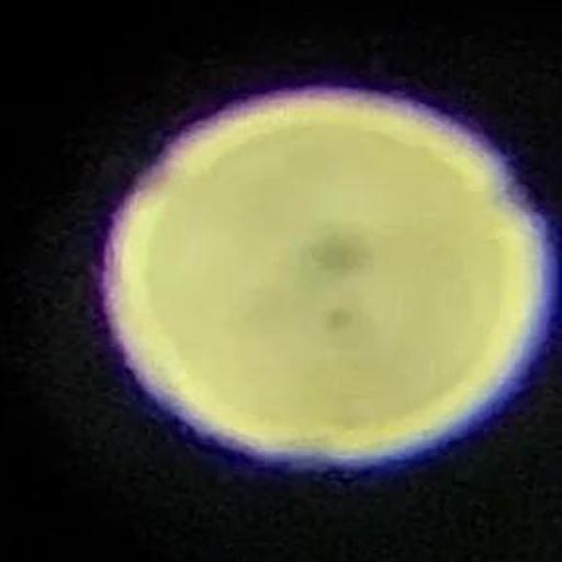 Image 18