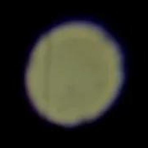 Image 19