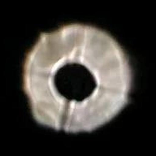 Image 20